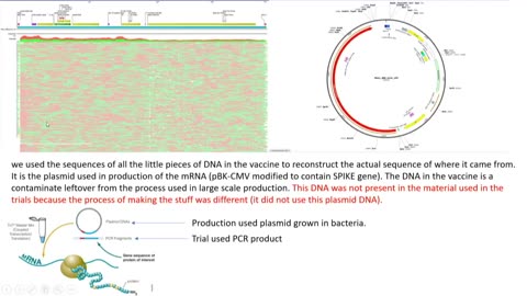 Cancer Genomics Expert Testifies to the Senate on the DNA Contamination Found in mRNA COVID Vaccines