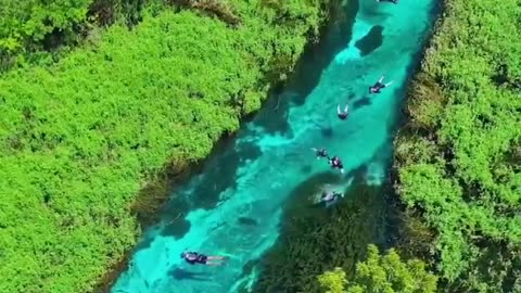 The pristine and clear waters of Rio Sucuri river, Brazil