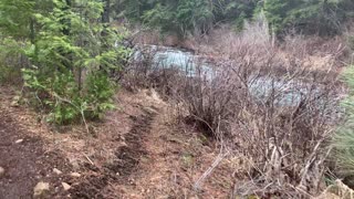 A JADE Section of Metolius River – Central Oregon