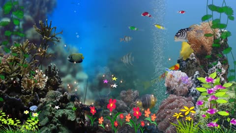 Underwater world Background Video Animation