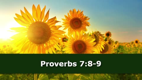 1 Minute -- Proverbs 7 Devotional -- August 7, 2023