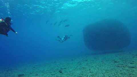 UNDERWATER VIEW