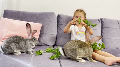 Adorable Baby Girl Feeding Rabbits!