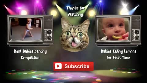 Funny Babies Laughing Hysterically at Dogs Compilation