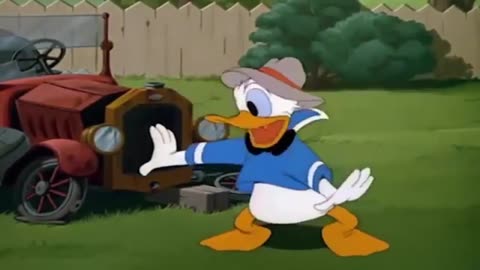 DONALD DUCK CARTOONS