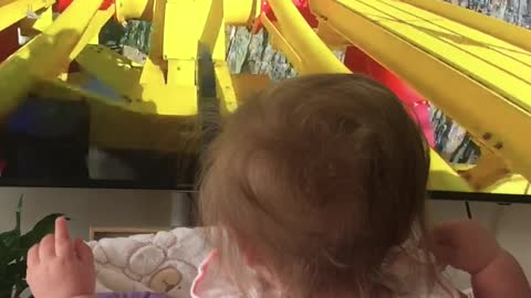 Baby rides rollercoaster