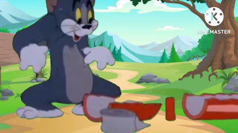 Tom and jerry cartoon