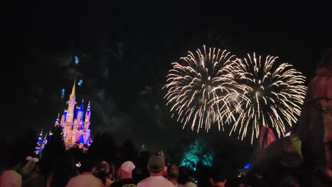 Disney Fireworks 1