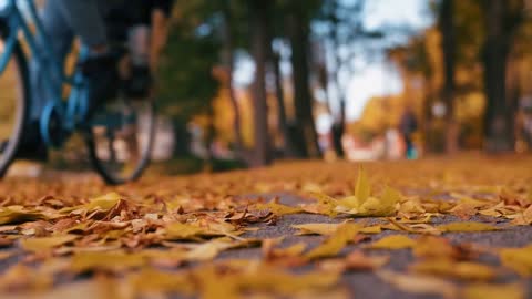 Enchanting Autumn Forests with Beautiful Piano Music