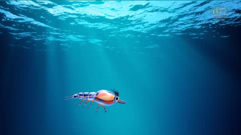 MARINE ECOSYSTEM | Biology Animation