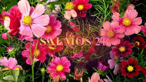 SALMOS 20,21,22- Reina Valera 1960.Dramatizado