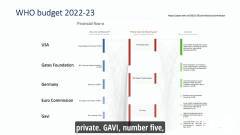 Who Funds the WHO? A Closer Look Behind the World Health Organization’s Budget