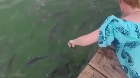 That's how you catch the big fish