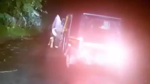 A gaur nearly flips an Auto Rickshaw over