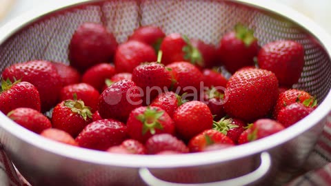 Freshly Harvested Strawberries