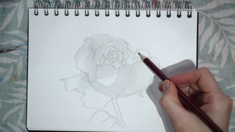 ASMR Quietly Sketching | Rose Drawing | No Talking