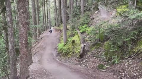 Best MTB crashes of all time