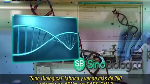 Karen Kingston, NO hay ARNm, sino son nanopartículas lipídicas