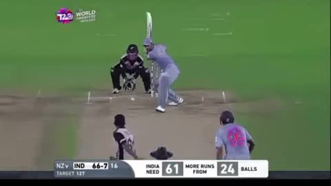 Cricket fans-video #cricket #cricketlover