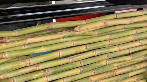 Sugar Cane Juice