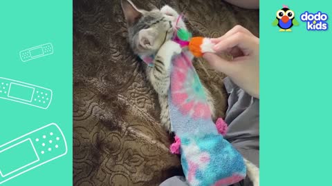 Baby Bottle And A Mermaid Costume Help Kitten Feel Better | Dodo Kids | All Better