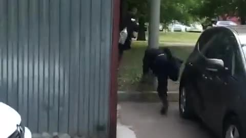 Cop fail-balance piggy. pig bangs his head trying to nab someone