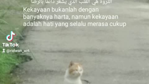 Kata-kata motivasi