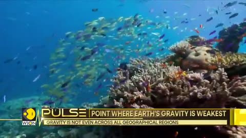 Scientists Unravel The Mystery Of Indian Ocean...