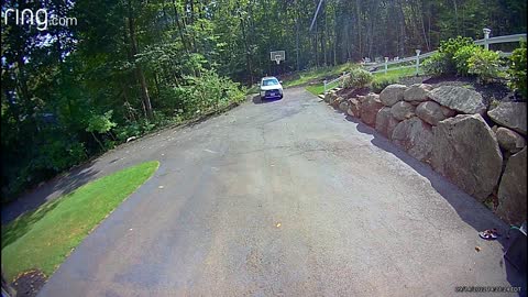 Black Bear Takes Trash From Garage