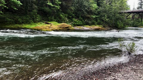 Hiking VIBRANT GREEN Soda Springs Trail to South Santiam River! | Cascadia County Park | Oregon | 4K