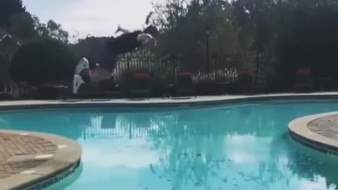 Guy Works Out An Insane Flip Over A Pool And Lands On The Other Side!