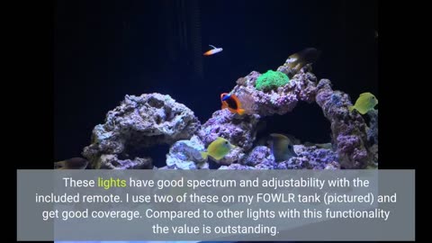 VIPARSPECTRA Timer Control Dimmable 165W LED #Aquarium Light-Overview