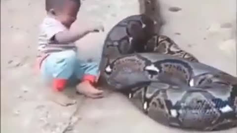 OMG, Little Kid is Playing With Dangerous Dragon #shorts #viral #shortsvideo #video