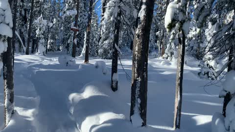 Snow Hiking – Central Oregon – Swampy Lakes Sno-Park – 4K