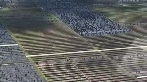 Hail storm in "Damon" TX destroys solar panels--what a disaster