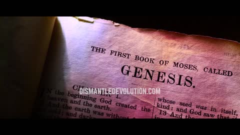 Dismantled Evolution – Scene 4: Genetics (Adam and Eve)