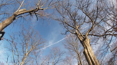 (CHEMTRAILS) GAZE UP AND TELL WHAT YOU SEE IN YOUR NEIGHBORHOOD .