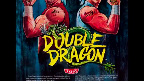 Top 1 Ranked DOUBLE DRAGON Flyer Arcades