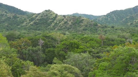 Komodo National Park, Indonesia