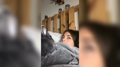 cute rabbit imitating