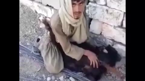 Middle Eastern fighter s…….. abusing a goat.