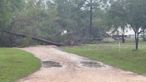 Hurricane Idalia | Disaster | Florida | Coastline |