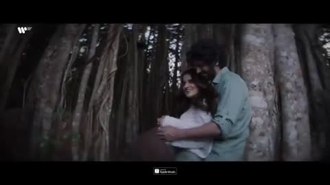 Heeriye (Official Video) Jasleen Royal ft Arijit Singh| Dulquer Salmaan| Aditya Sharma |Taani Tanvir