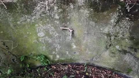 Exploring a Hobbit's House After 35-Years of Abandonment