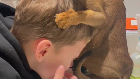 Cat Grooms Boy's Head