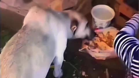 You won't believe this dog's reaction for this lady 🥹