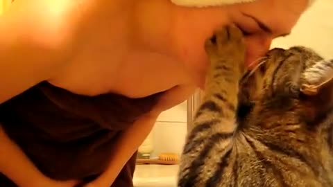 Cat loves woman | Great Relationship with each other |