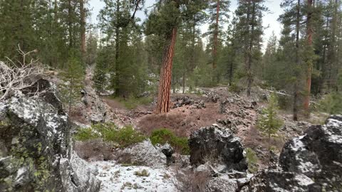 Volcanic Snow Hiking – Central Oregon – Edison Sno-Park – 4K