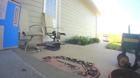 FedEx driver kills rattlesnake on porch while delivering package | USA TODAY