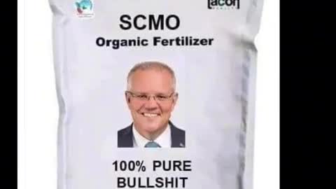 Scott Morrison - 100% Bull....